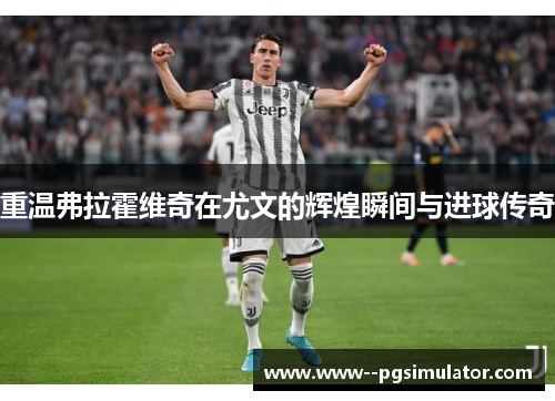 重温弗拉霍维奇在尤文的辉煌瞬间与进球传奇