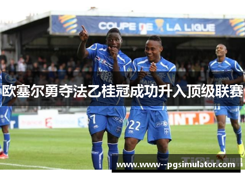欧塞尔勇夺法乙桂冠成功升入顶级联赛