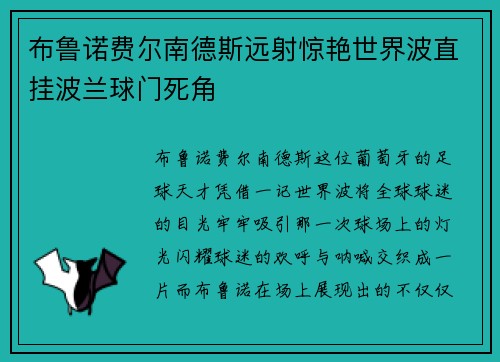 布鲁诺费尔南德斯远射惊艳世界波直挂波兰球门死角